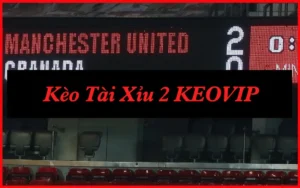 Giải Mã Kèo Tài Xỉu 2 Hòa: Bí Mật Nhà Cái